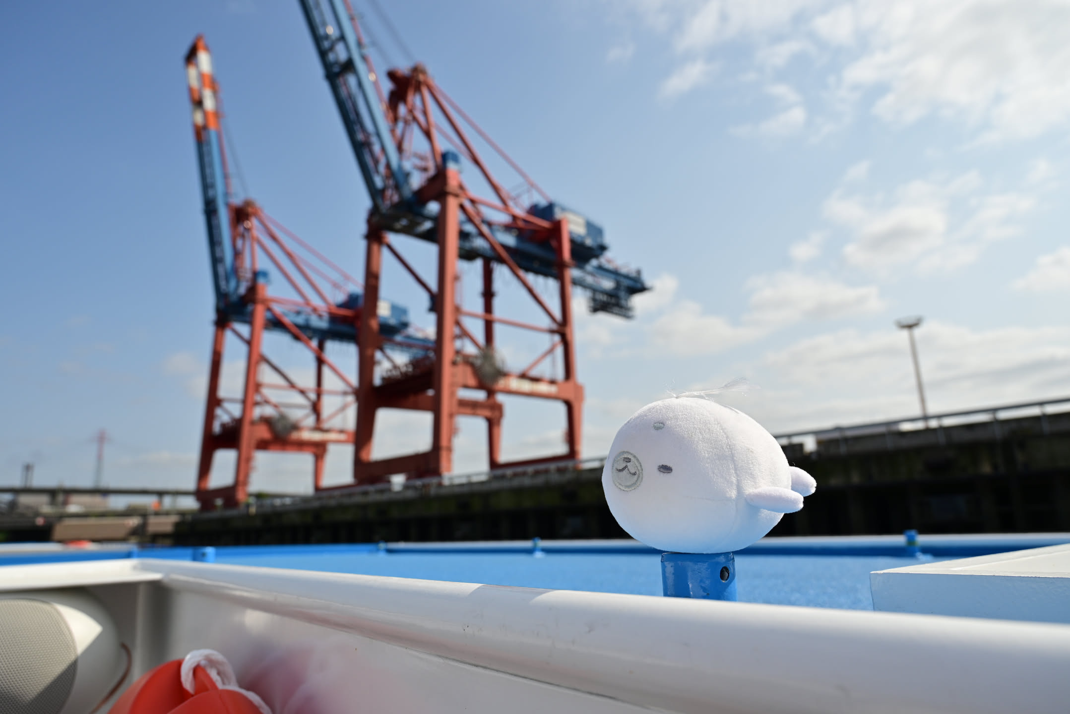 帶著白饅頭海豹搭船，還好夠胖沒被吹走，背景是漢堡的工業設施，用來吊貨櫃的